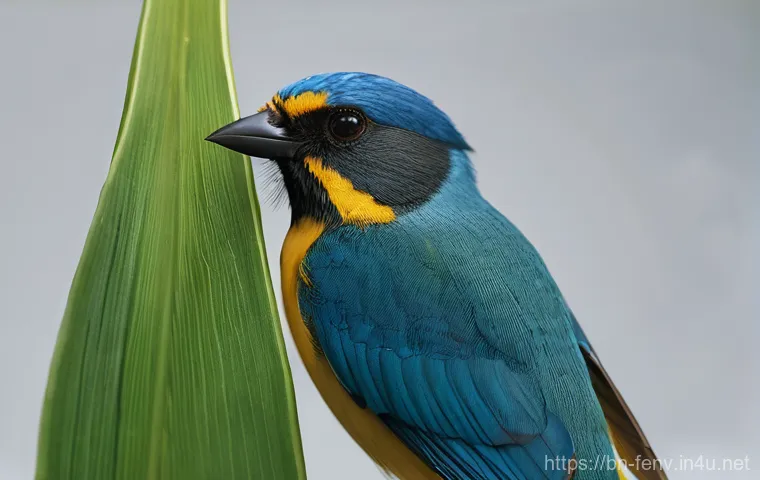 기후 변화와 인간 사회 이미지 2